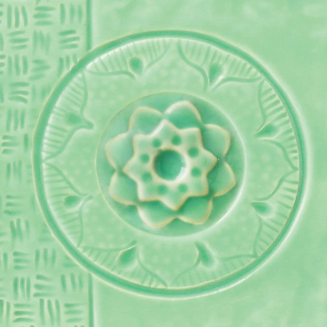 C-24 SUCCULENT PINT