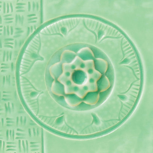 C-24 SUCCULENT PINT