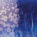 CO-24 BRIGHT STAR PT