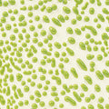 CR-41 LIME  CRAWL PT