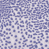 CR-54 Purple Crawl PT