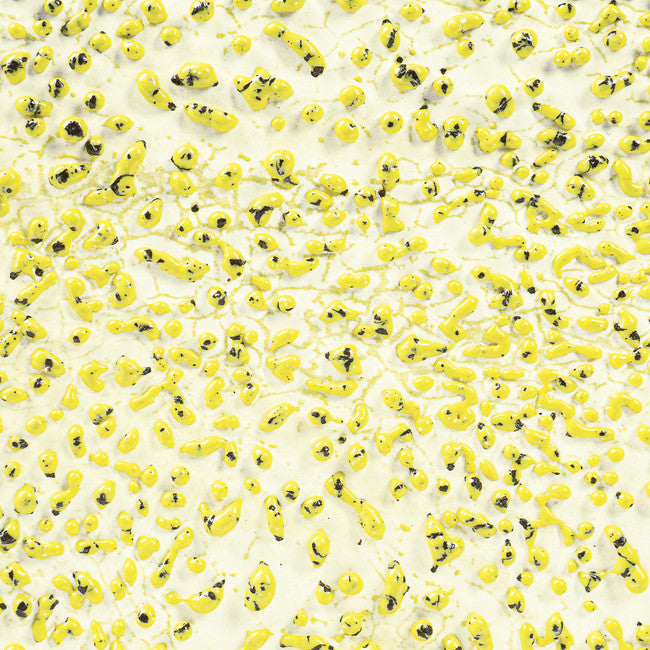CR-61 Speckled Yellow  Crawl Pint