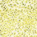 CR-61 Speckled Yellow  Crawl Pint