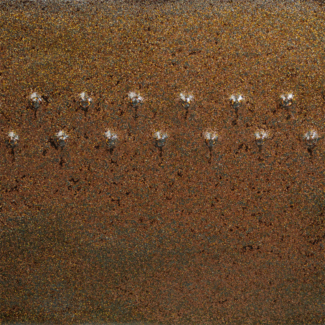 PC-69 COSMIC GOLD DUST PT