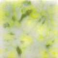 CG-963 LEMON LIME4 OZ