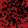 CG-984 Lady Bug PT
