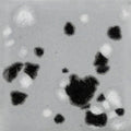 CG-1016 ASTEROID