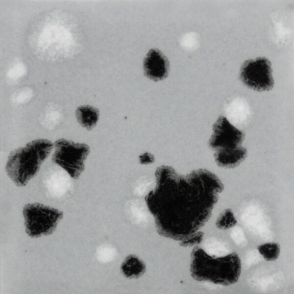 CG-1016 ASTEROID