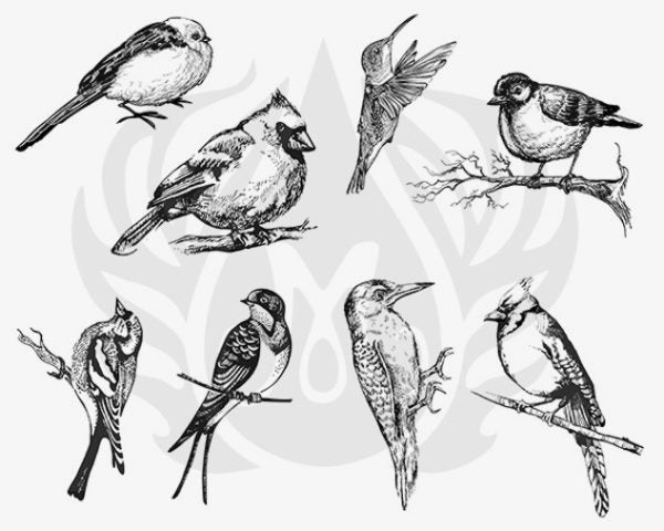 DSS0108  Small Birds Silkscreen