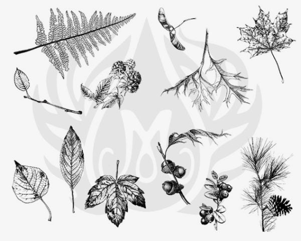 DSS0111 Botanical Leaves Silkscreen