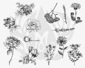 DSS0112 Flowers Silkscreen