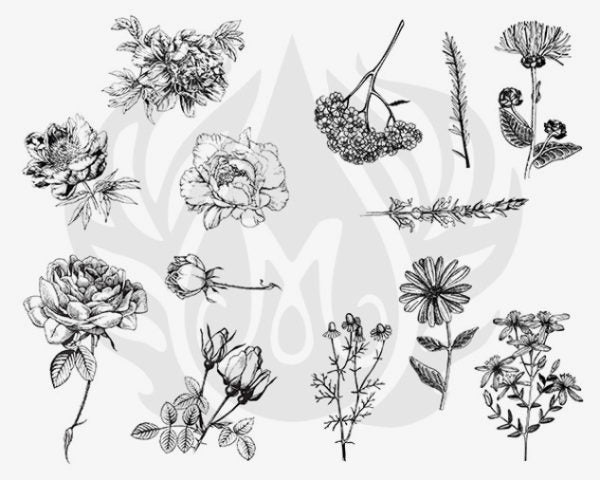 DSS0112 Flowers Silkscreen