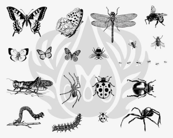 DSS0113 Bugs Silkscreen