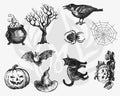 (SO) DSS0118 Halloween Silkscreen