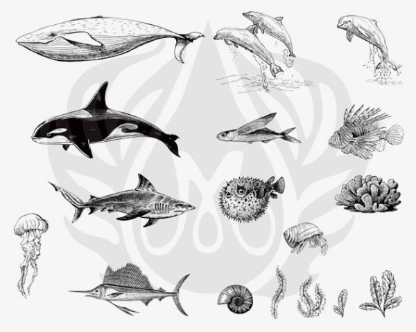 DSS0131 Sea Life 2 Silkscreen