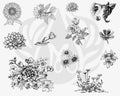DSS0138 Flowers 2 Silkscreen
