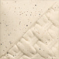 EG002 Speckled Buff Engobe Pint
