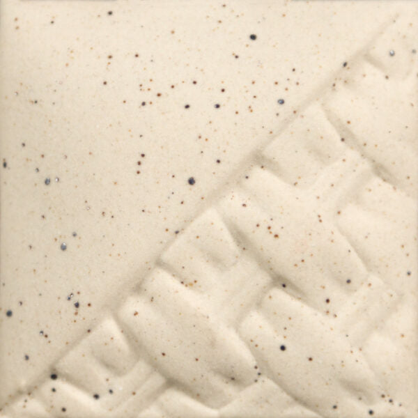 EG002 Speckled Buff Engobe Pint