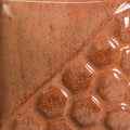 EL-143 Cactus Flower Pint